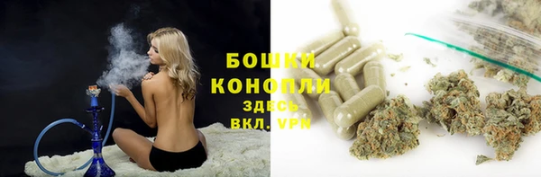хмурый Нея