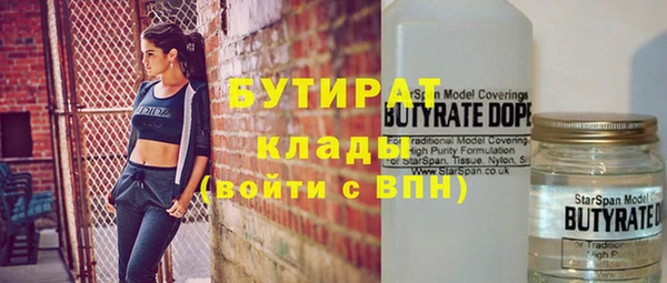 хмурый Нея