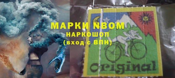 хмурый Нея