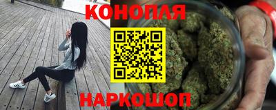 дмт Дубна