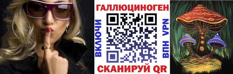 купить   Красноярск  Псилоцибиновые грибы Psilocybine cubensis 