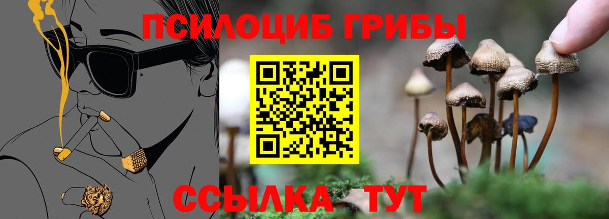 Галлюциногенные грибы мицелий Красноярск